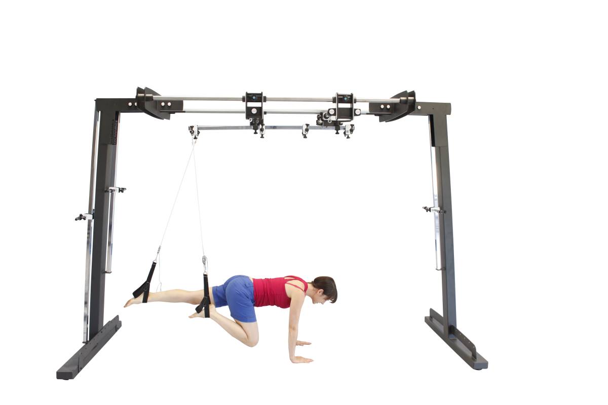 LEVITAS sling Therapy exercising in suspenision